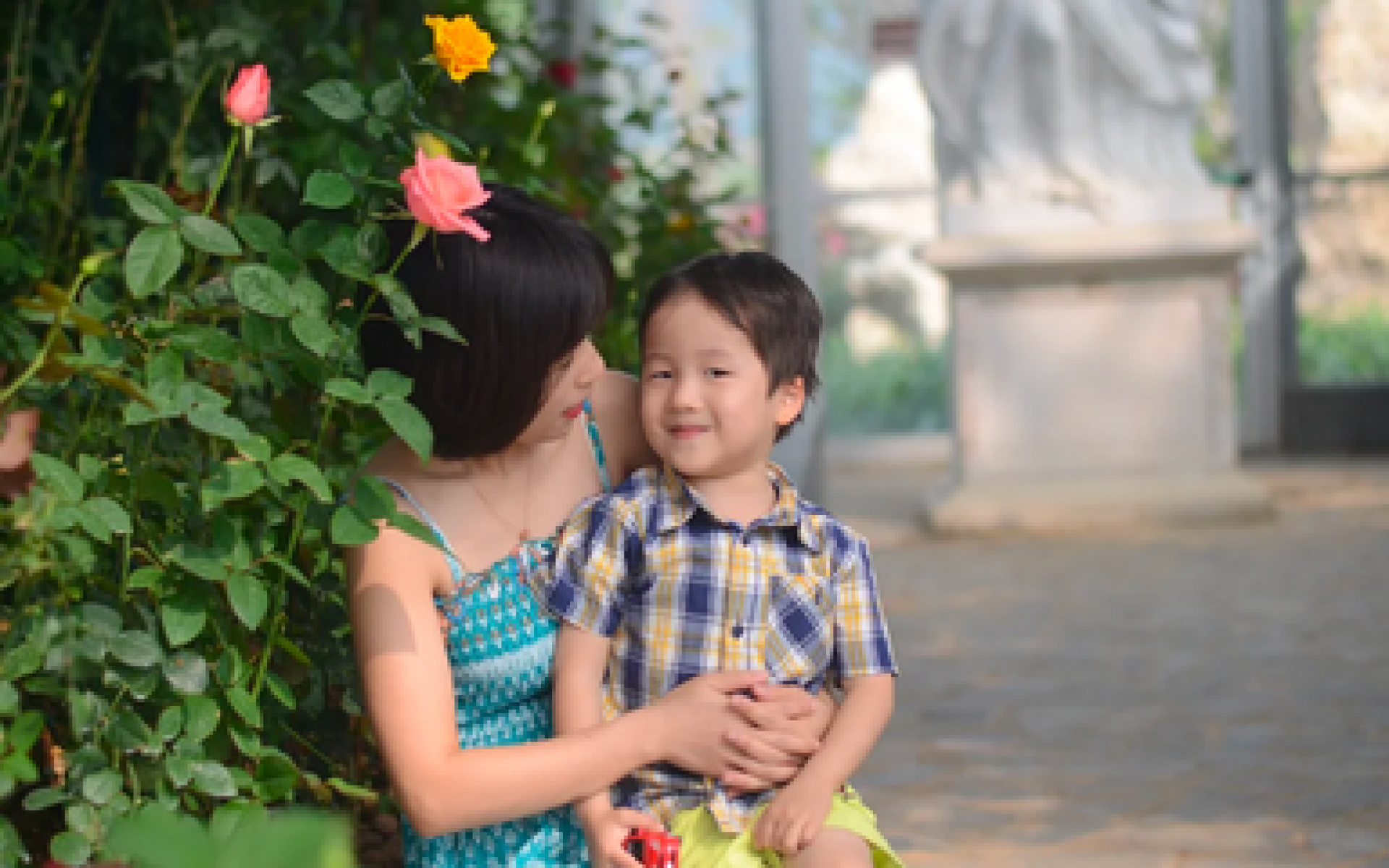 Lựa chọn