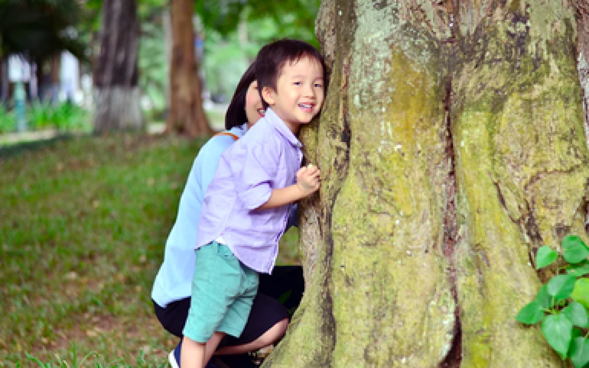 Con có lắng nghe thấy tiếng nhựa cây đang chảy, tiếng thở của thân cây không
