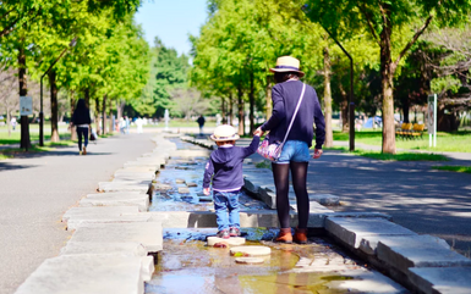 Bí mật về “Sự gắn bó an toàn”