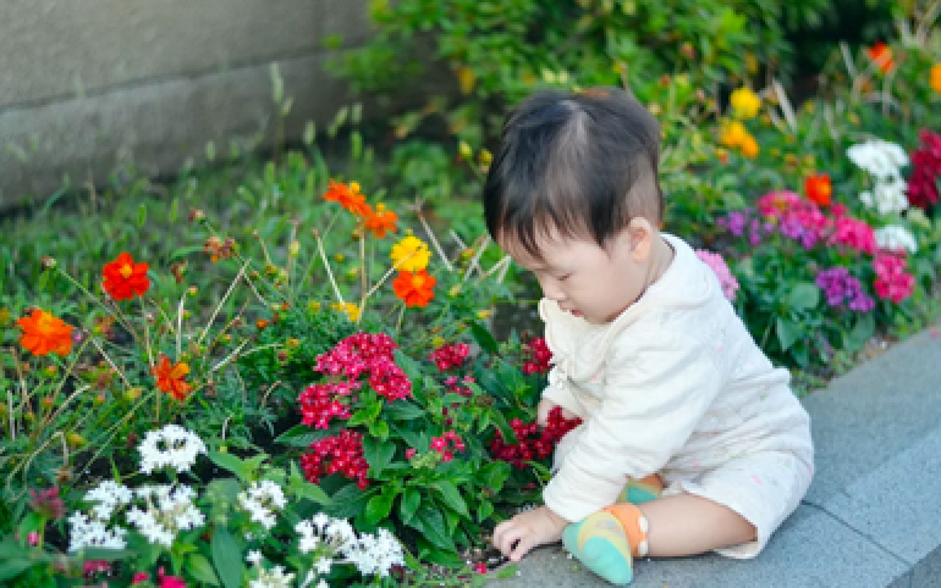 Việc được sờ, chạm vào đất, cỏ cây hoa lá ngay từ những tháng đầu đời là điều rất cần để nuôi dưỡng 5 giác quan