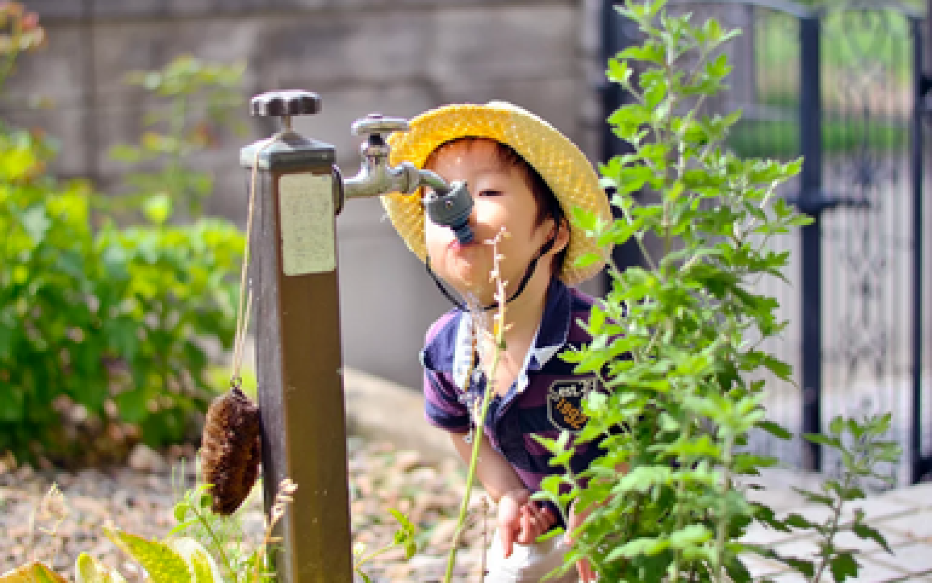 Bon hứng miệng vào vòi nước chảy ra, đó là một trải nghiệm rất tuyệt vời mà trẻ con rất thích.